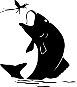 Fliegenfischen Icon